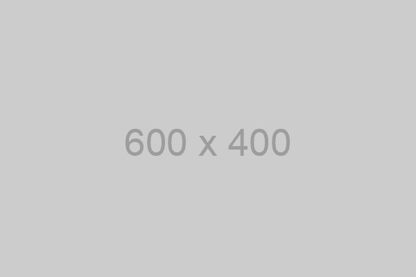 600 by 400 px placeholder