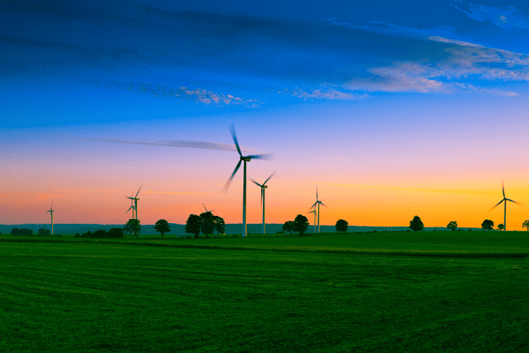 windfarm and fields